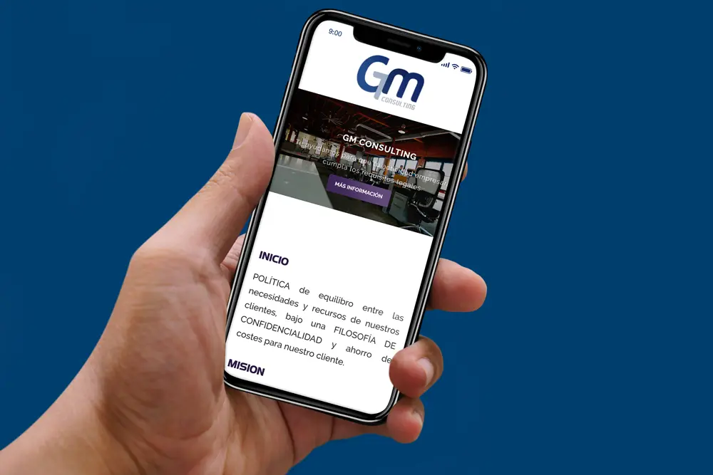 gmconsulting