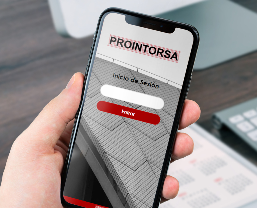 Desarrollo de programa de gestión web para Prointorsa