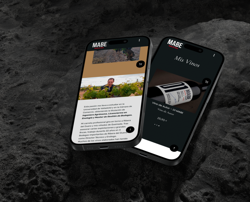 Diseño de página web para Dani Mabe Wines